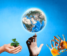 Entfessele Deine Schöpferkraft