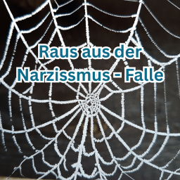 Raus aus der Narzissmus - Falle