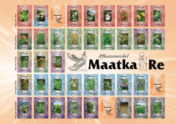 Kartenlegen lernen mit dem Pflanzenorakel der Maatka Re