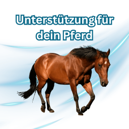 Unterstützung für dein Pferd