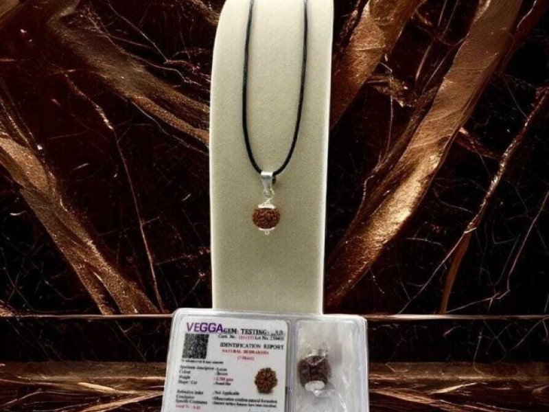 7 Mukhi Rudraksha